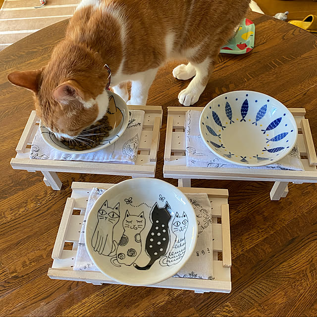 SHIHOさんの実例写真