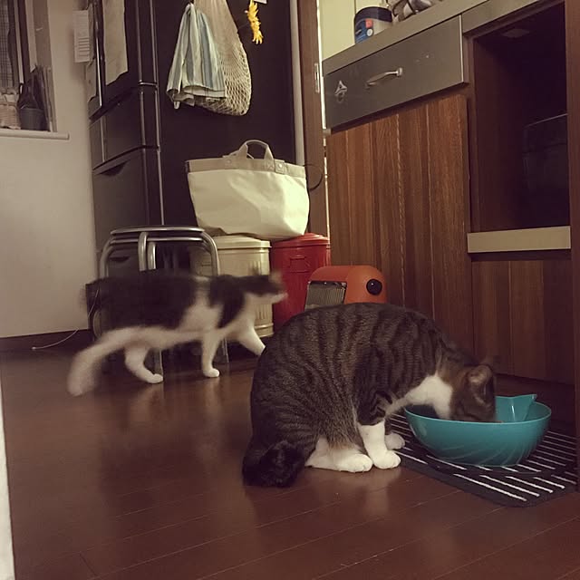 Reikoさんの実例写真