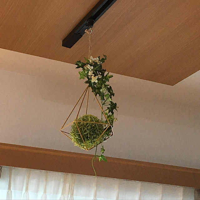 linkaさんの実例写真