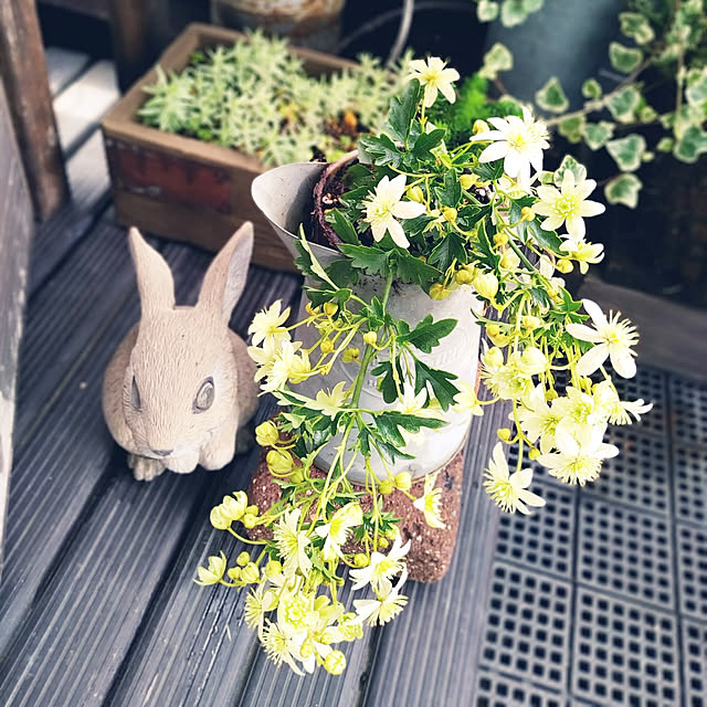 luke.solさんの実例写真