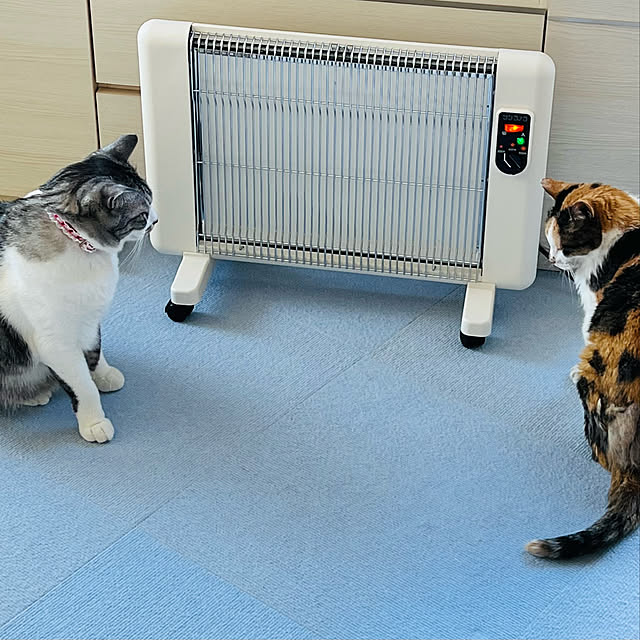 seireiさんの実例写真