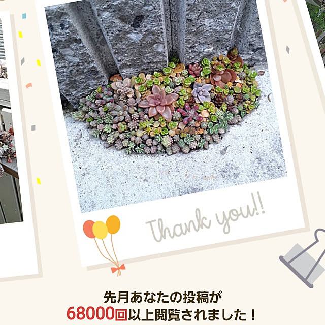 amtさんの実例写真