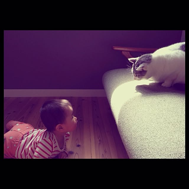 Tomo3さんの実例写真