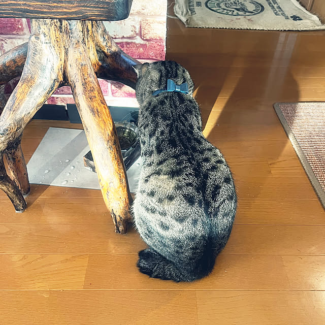 Mさんの部屋