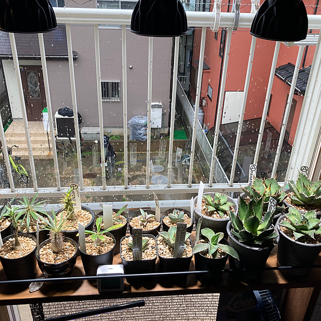 Tさんの部屋