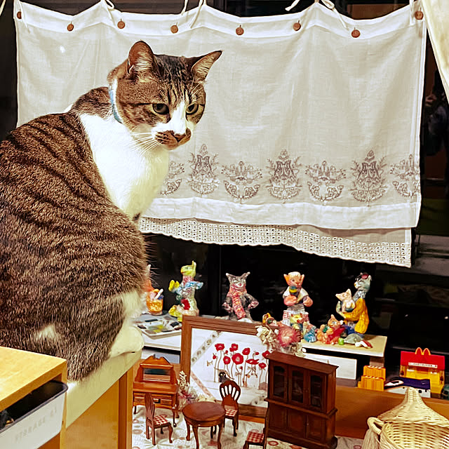 jijiさんの部屋
