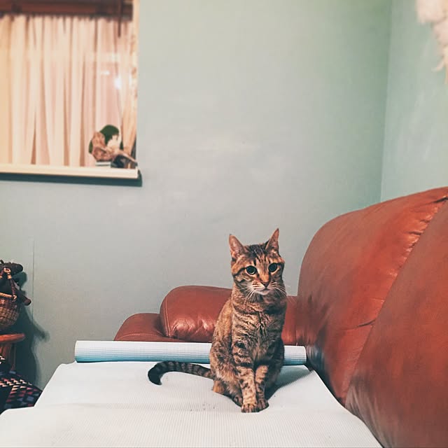 bowbowcoさんの実例写真