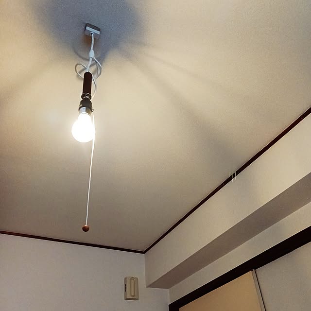 5101103の朝日電器-ELPA(エルパ) ペンダントソケット 1灯用 PD-011の家具・インテリア写真