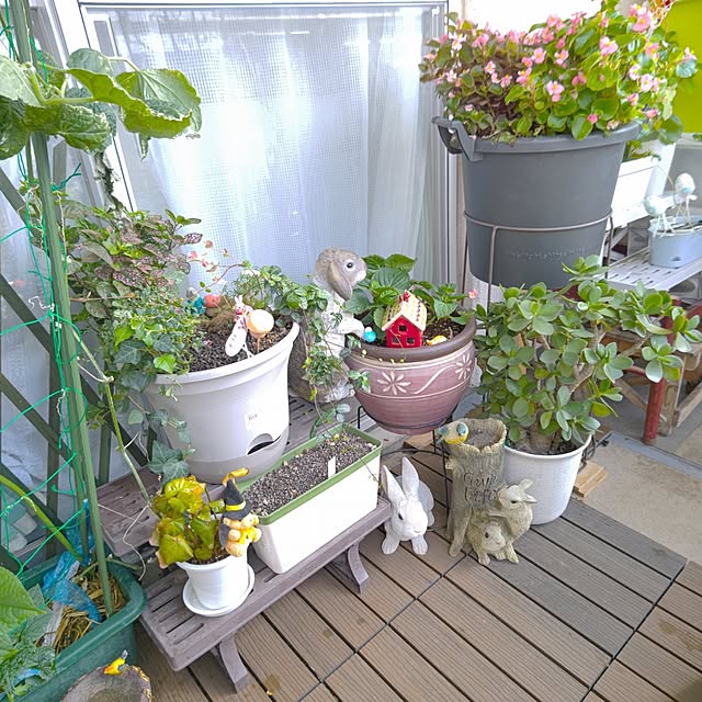 mariaさんの部屋