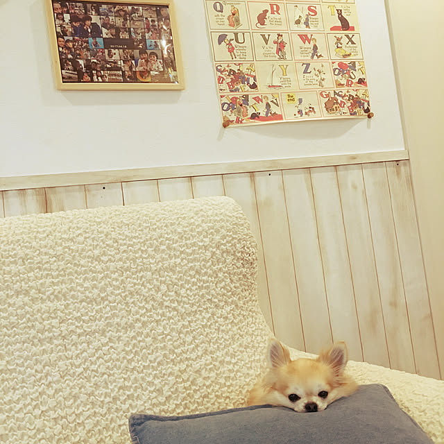 konomi513さんの実例写真