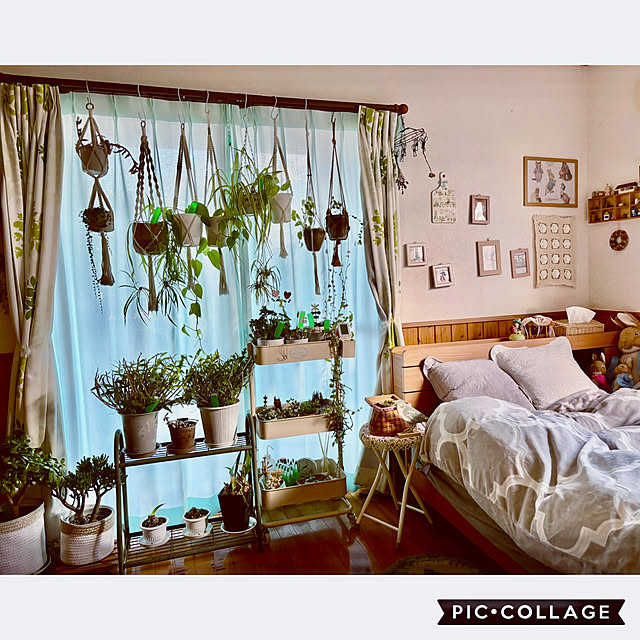 CoCo0617さんの実例写真