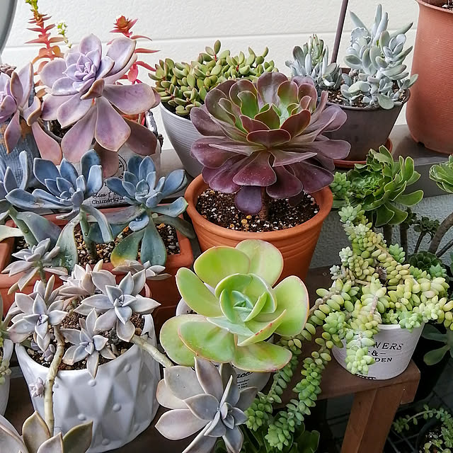 VERANDARJUNさんの実例写真