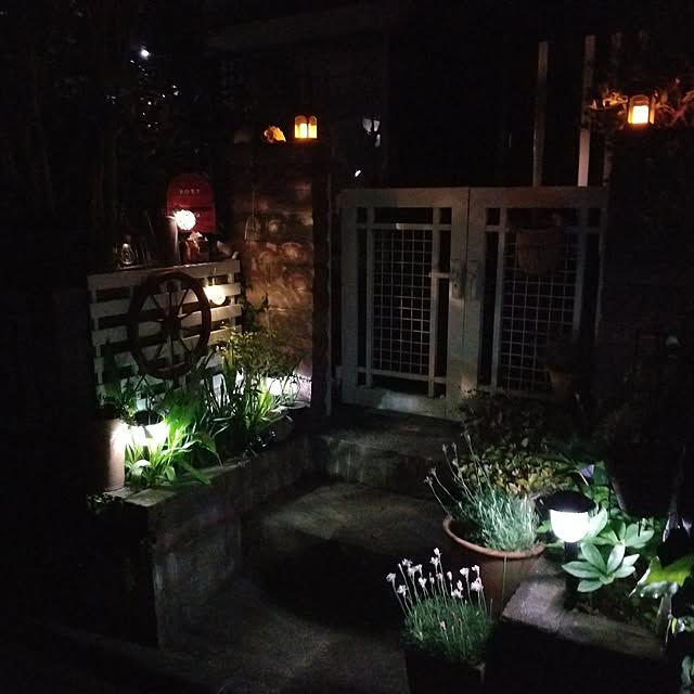 midoriさんの実例写真