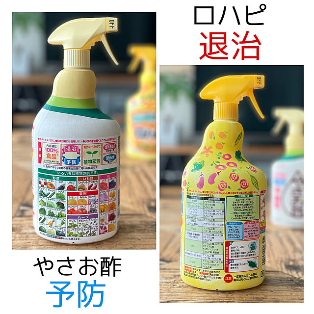 adamoさんの実例写真