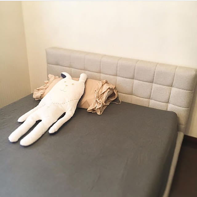 peco_travellerさんの実例写真