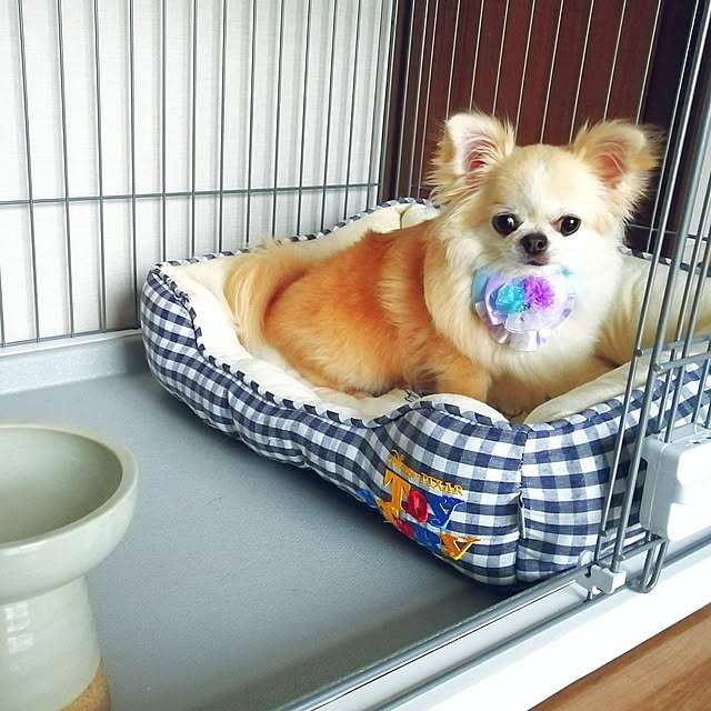 ponさんの実例写真