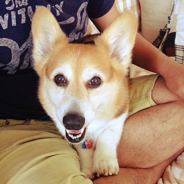 kumiさんの実例写真