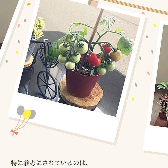kazuさんの実例写真