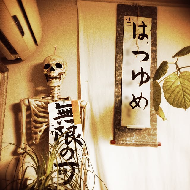 Mayumiさんの実例写真