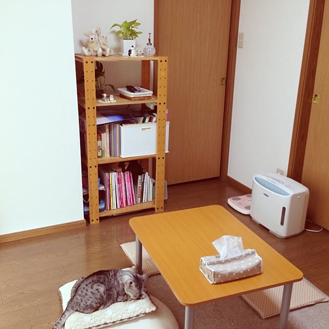Suzuさんの実例写真
