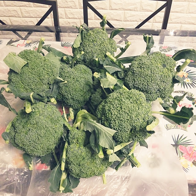 mimi828さんの実例写真