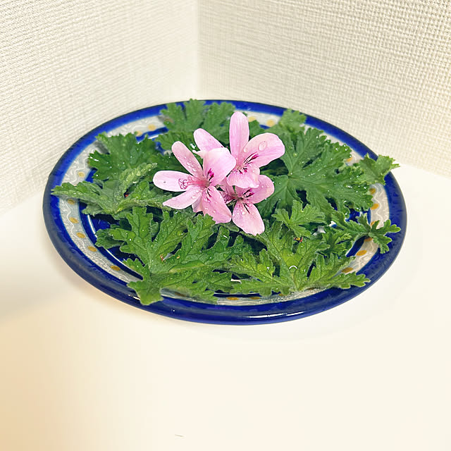 yoyoyoさんの部屋