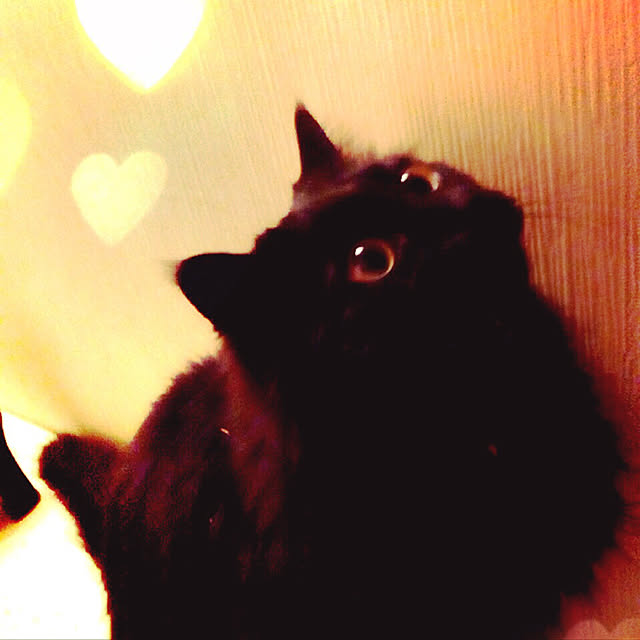 minamiさんの実例写真