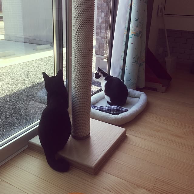 aruさんの実例写真