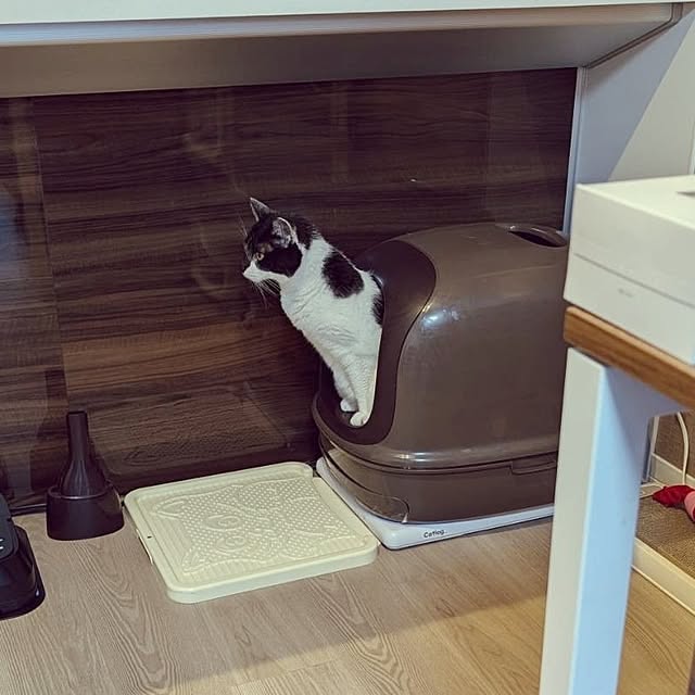 NOAHさんの部屋