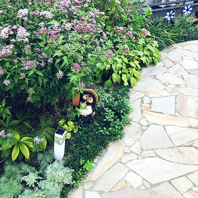 portulacaさんの実例写真