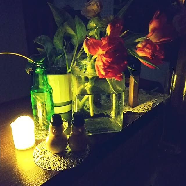 koyutan-mjmさんの部屋