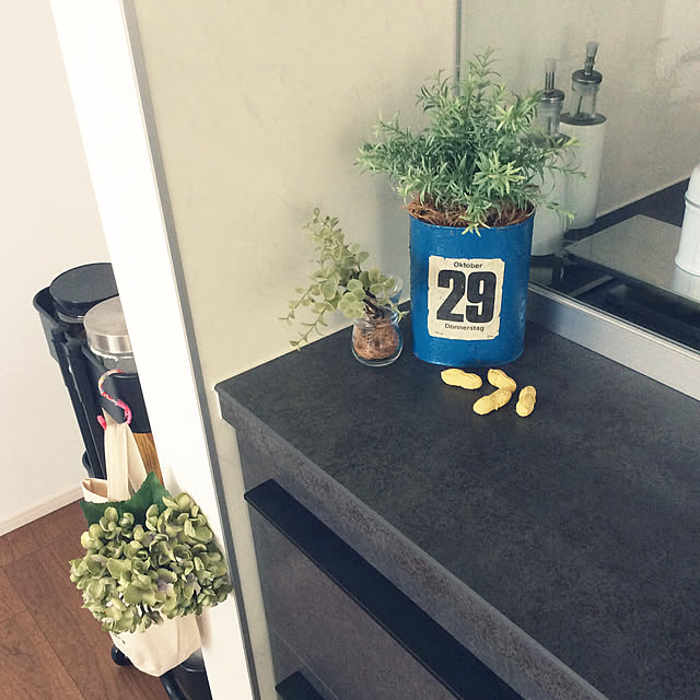 maruさんの実例写真