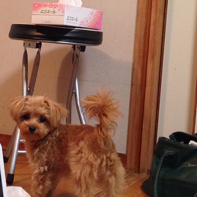 Reniさんの実例写真