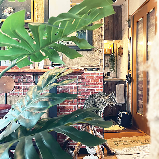 Mさんの部屋