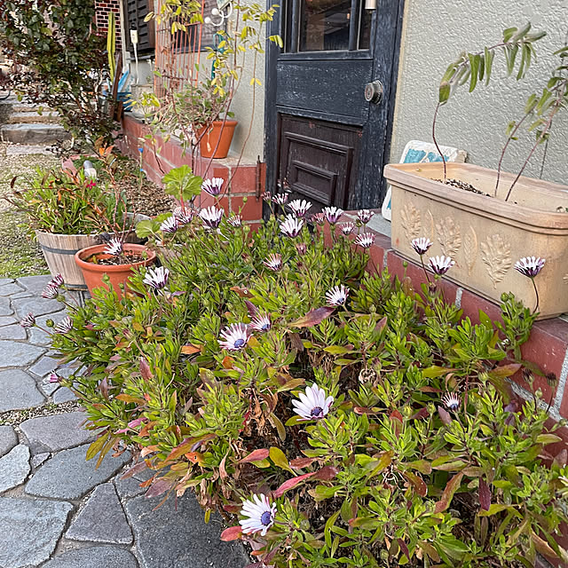 shin0719さんの部屋