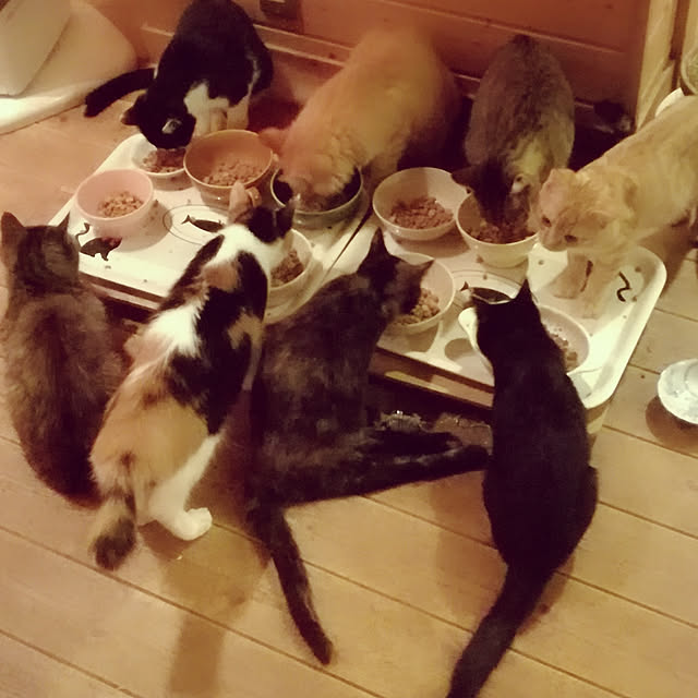 Maki-nekomamireさんの実例写真