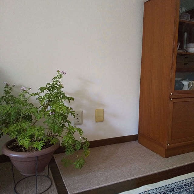 guiさんの実例写真