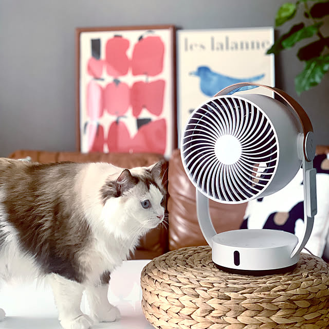 Micccaさんの実例写真