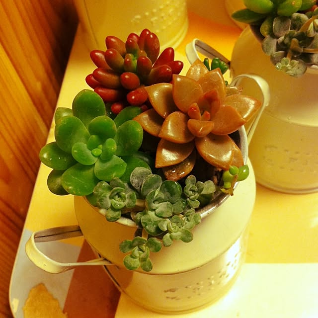 ciao0923さんの実例写真