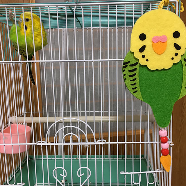 koroさんの実例写真