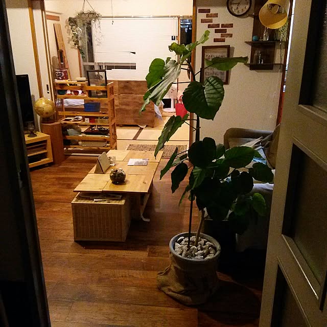 Cheroさんの実例写真