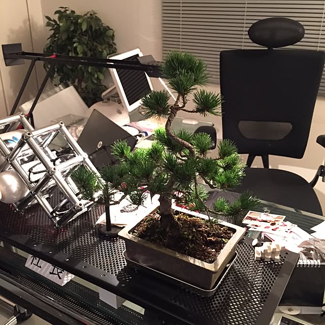 机/観葉植物のインテリア実例 - 2016-03-14 23:03:55