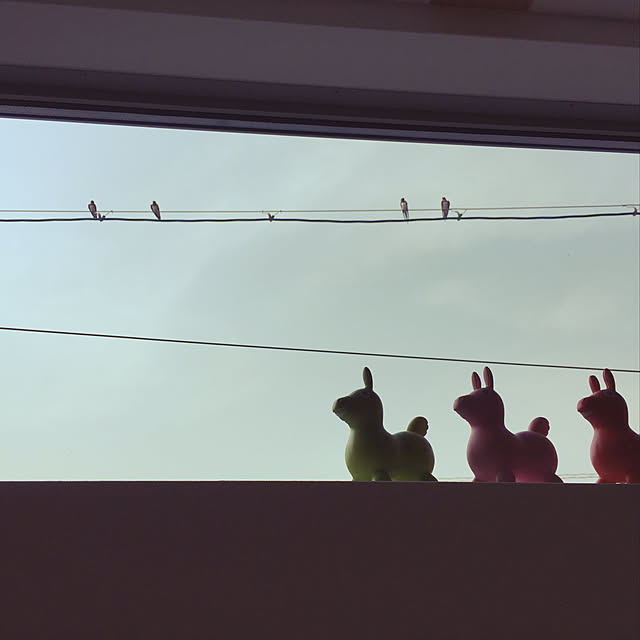 miki7222さんの実例写真
