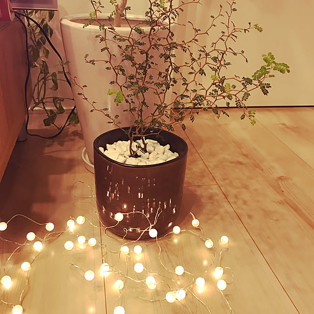 観葉植物/ナチュラル/植物/北欧/雑貨...などのインテリア実例 - 2020-05-04 21:05:45