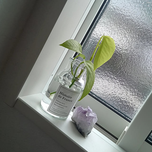バス/トイレ/ダイソー/100均/観葉植物のインテリア実例 - 2022-06-13 12:28:13
