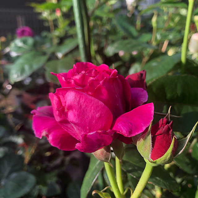 xiaohuai7788さんの実例写真