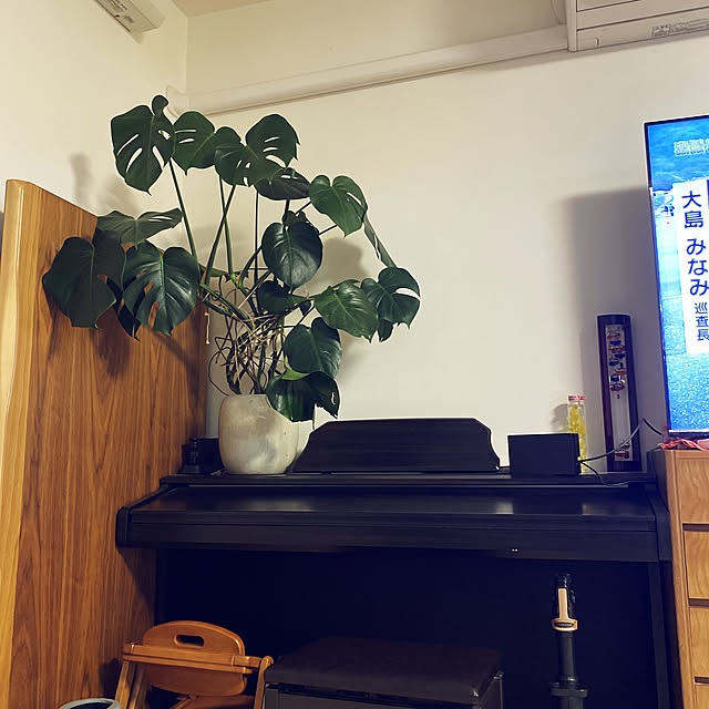 kotaroさんの実例写真
