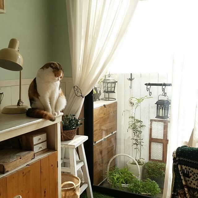 mikiさんの実例写真