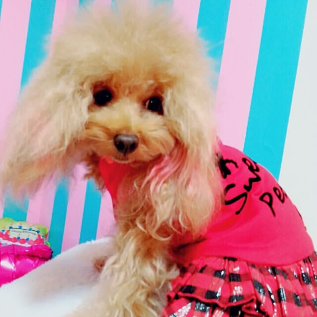 potetoさんの実例写真