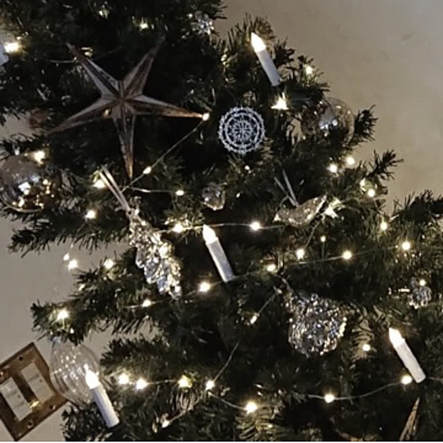 Ohigeさんの部屋